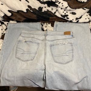 American Eagle wide leg jeans. These are a low rise skater jean